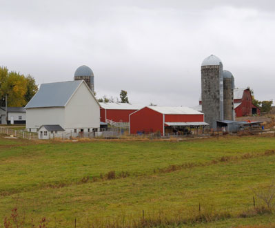 farm scene